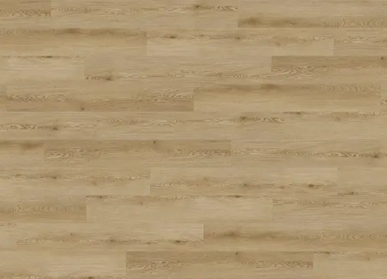 MG 001 Long Plank