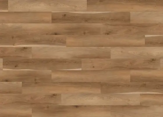 MG 004 Long Plank