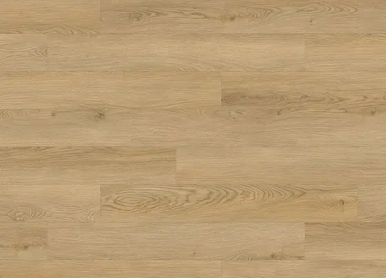 MS 010 Sessile Oak